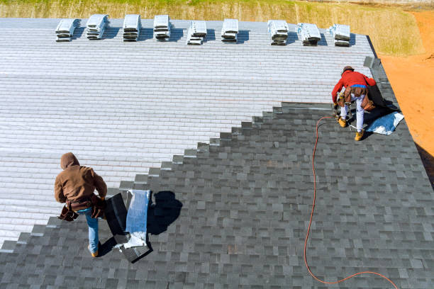 Best Shingle Roofing Installation  in Amador Pines, CA