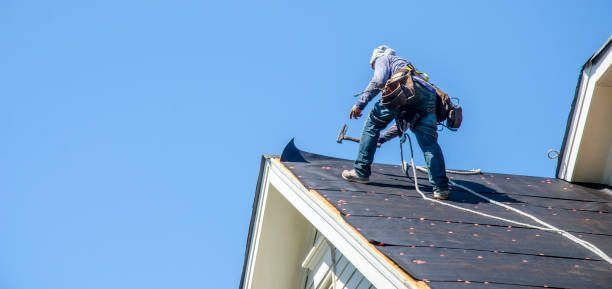 Best Roof Waterproofing Services  in Amador Pines, CA
